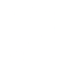 aishop.com.py
