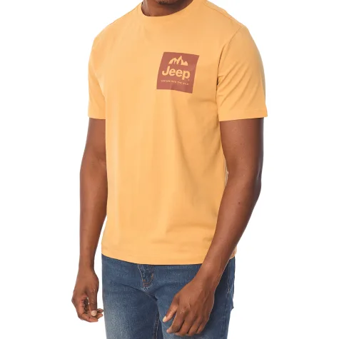 Jeep fashion graphic tee brown